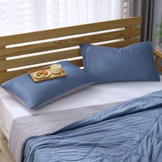 Ishur 伊舒爾 玩色雙面冰凍 涼感 枕頭套 2入 75 x 45cm 藍莓慕斯