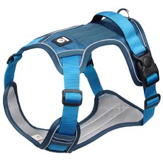 Duomm 寵物防暴衝反光胸背帶B款 XL 藍色, 1個
