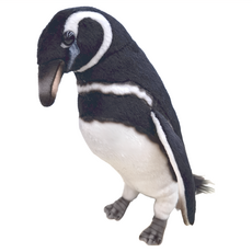 HANSA TOY 填充絨毛玩具 7083 5歲以上, 20cm, 麥哲倫企鵝, 1個