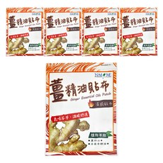 南美製藥 薑精油溫感貼布, 氣味芬芳 溫暖舒適, 6片, 5包