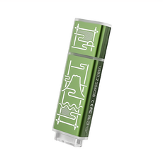 TCELL 冠元科技 老屋顏 台灣經典鐵窗花隨身碟 獨家聯名款 USB 3.2 256GB - 山光水色(綠), 1個