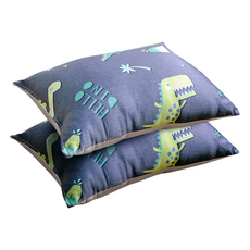 Embrace 英柏絲 天絲兒童水洗枕 單面100%萊賽爾纖維(天絲)/單面100%棉(大和抗菌技術) 台灣製, 38x55cm, Dino跳跳