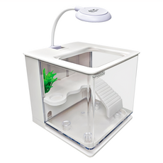 Crabaqua 小螃蟹 懶人烏龜缸, 白色, 1個