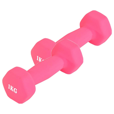 SC優選 鑄鐵包膠小啞鈴棒 矽膠防滑設計, 粉色, 健身啞鈴, 2個, 1kg