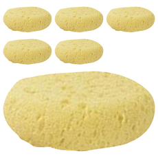 KEYTOSS 詰朵斯 無感去角質 Mini沐浴海藻海綿 尺寸9*9*2.8cm*2入, 黃色, 6個