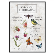 BOLUO GALLERY 菠蘿選畫所 復古植物圖鑑 掛畫 BFVI3405B, 黑色
