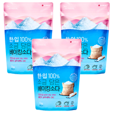 LG 生活健康 含鹽萬用小蘇打粉 1kg, 3包