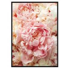 菠蘿選畫所 胭脂牡丹 BFFB4669B 畫框 居家裝飾藝術畫, 黑色