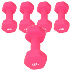 三次方 塑身小啞鈴，六角設計 防止滾動，1-5公斤 亮麗顏色, 單一商品, 粉, 4kg, 5支
