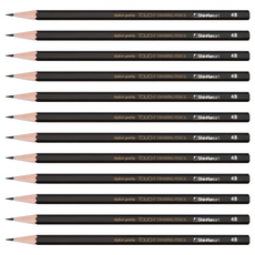 TOUCH 新韓繪畫素描鉛筆繪圖鉛筆, 4B, 12支