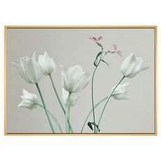 BOLUO GALLERY 菠蘿選畫所 花語 鬱金香 I BFEF3404D 掛畫, 木色
