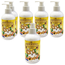 優品 抗菌保濕洗手乳 IPMP配方 保濕 去除手部異味, 300ml, 6瓶