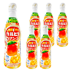 Asahi 朝日 可爾必思 濃縮芒果乳酸菌飲料, 470ml, 6瓶