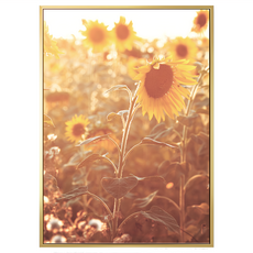 菠蘿選畫所 向日葵畫作 (59.4 x 42cm) - 居家裝飾藝術品, 金色