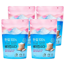 LG 生活健康 含鹽萬用小蘇打粉 1kg, 4包