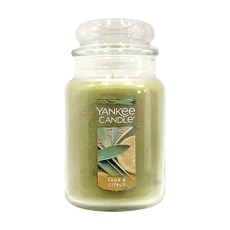 YANKee CANDLe 香氛蠟燭, 鼠尾草柑橘, 623g, 1件