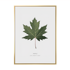 秋高氣爽 秋楓, 金色