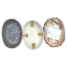 AWASAKA 粟坂 日本美濃燒 釉燒橢圓禮盒組, 3件組深盤, 禪風 多色, 1組