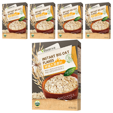 Vilson 米森 冰湖大燕麥片, 500g, 5盒