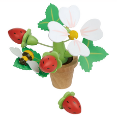 tender leaf 草莓盆栽 3歲以上, TL8356, 1盒