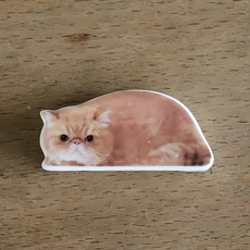 日本 Decole Oh my Cats 貓咪筷架, 陶瓷, 11.6x5.7xH1.2cm, 異國短毛貓, 1個