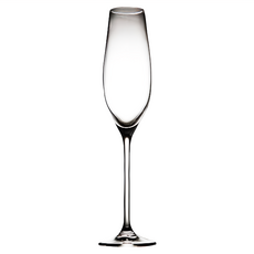 RONA Celebration歡慶系列 香檳杯 Set 6, 210ml, 1組