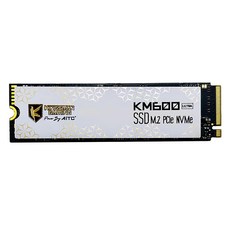 AITC 艾格 KINGSMAN ULTRA M.2 2280 PCIe SSD 固態硬碟, KM600, 256GB