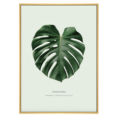 欣欣向榮 龜背竹 有框畫, 木色