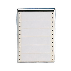 華麗牌 電腦列印標籤 WL-5006 100 x 24mm 單排, 1格, 900張