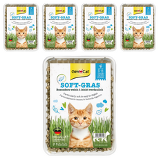 Gim Cat 俊寶俊喵 香味軟貓草 100g 易消化 富含多種纖維 礦物質與葉綠素 口感柔軟, 5盒