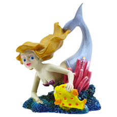 AQUAFUN 水之樂 美人魚礁島, 1個