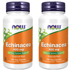 now 健而婷 紫錐花加強配方 400mg Immune System Support, 100顆, 2罐
