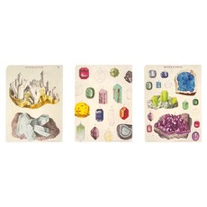 CAVALLINI&CO. 口袋筆記本 礦物學, 水晶礦石, 3本