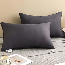 Ishur 伊舒爾 石墨烯能量枕 2入, 1組