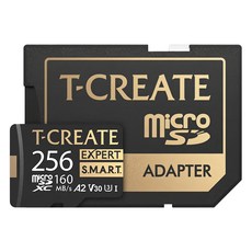 TEAMGROUP 十銓 T-CREATE EXPERT 256GB Micro SDXC 記憶卡 含轉卡, 1個
