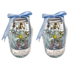 A-ONE 匯旺 永生花許願花瓶 K款 藍雛菊 AE-FB11 2入