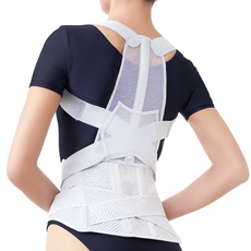 alphax 腰背支撐帶 淺灰色, 1個