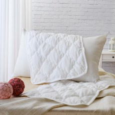 LooCa 防蹣防蚊平面式枕頭保潔墊 2個