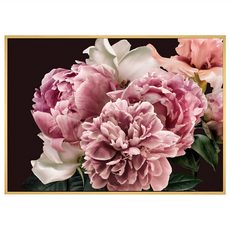 菠蘿選畫所 雍容華貴•牡丹III BFFB3429D (40 x 30cm) 畫框 牡丹花卉掛畫, 木色