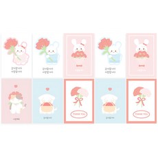 Donna & deco 康乃馨感謝卡片組, 1組, 隨機寄送(明信片)