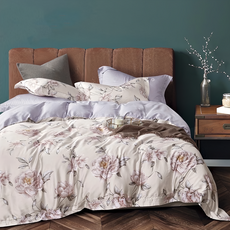 LiAN MEEi 聯美寢飾 60支純天絲銀離子 加大全鋪棉床包兩用被4件組