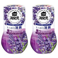 KOBAYASHI 小林製藥 室內消臭元 芳香劑 - 薰衣草香 400mL, 薰衣草, 2瓶