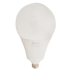 DANCELIGHT 舞光 LED 燈泡 38W 直徑13 x 23cm, 白光, 1個