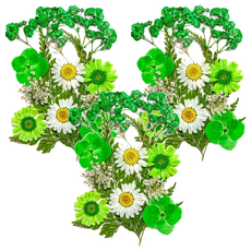 A-ONE 匯旺 真花壓花包 小 AA05 綠色情懷 3入