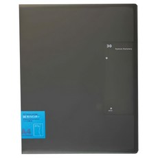 KyOKUTO 30孔半透明資料夾，A4尺寸, 透明黑, 1本