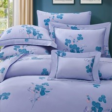 蘿蔓菲 60支 100%天絲 雙人薄床包兩用被