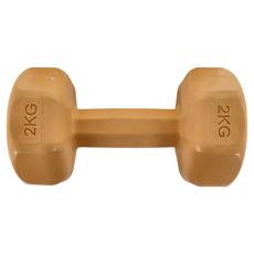 多彩小啞鈴 單隻, 2kg, 1組