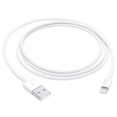 Apple 台灣公司貨 Lightning to USB MUQW3FE/A, 1m, 1條