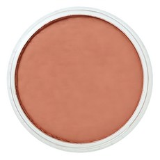 PANPASTEL 軟質藝術家盤粉彩餅 931.5 顏色 美術用品, 1色, 1個