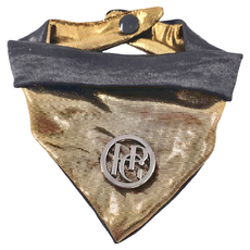 HAPPY GO PUPPY 寵物領巾，金色, XS, 華麗派對, 1個